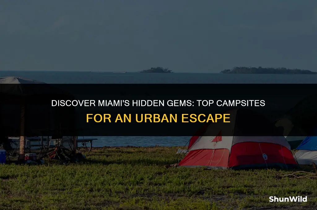 where to camp in miami