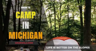 Discover Michigan's Best Campsites: Top Spots for Outdoor Adventures