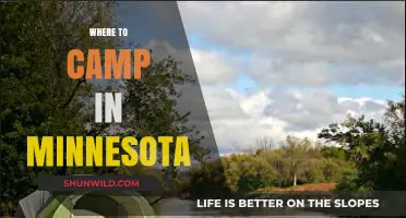 Discover Minnesota's Best Campsites: Top Spots for Outdoor Adventures