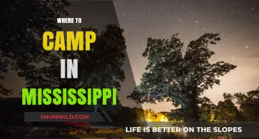 Discover the Best Campsites in Mississippi: A Guide to Outdoor Bliss