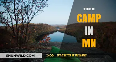 Discover the Best Campsites in Minnesota: A Guide to Outdoor Bliss