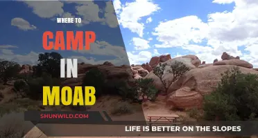 Discover Moab's Best Campsites: Adventure, Scenery, and Serenity Await