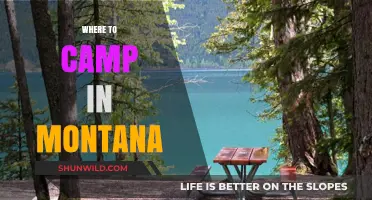 Discover Montana's Best Kept Camping Secrets: A Guide to Unforgettable Sites