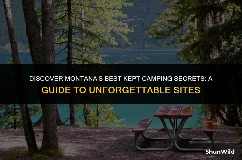 where to camp in montana