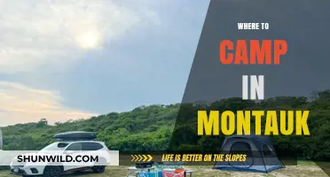 Discover Montauk's Best Campsites: A Guide to Outdoor Bliss