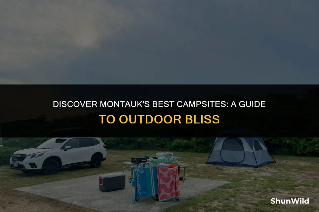 where to camp in montauk