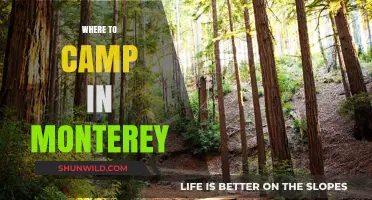 Discover the Best Campsites in Monterey: A Guide to Outdoor Bliss