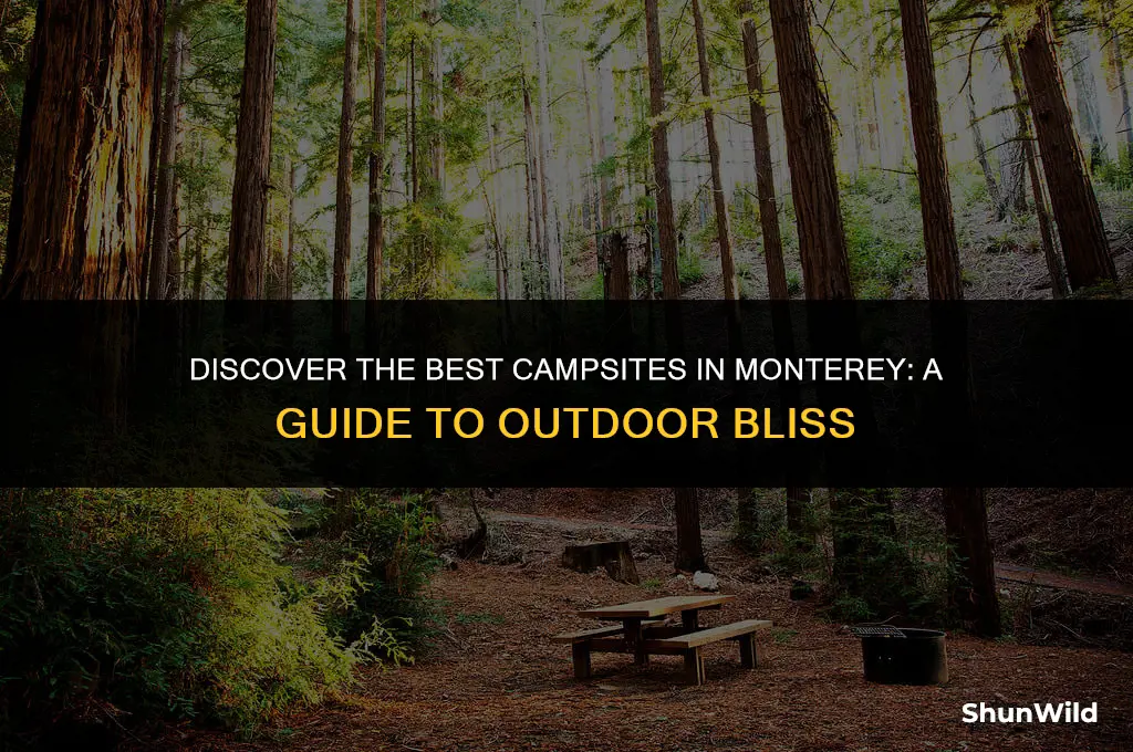where to camp in monterey
