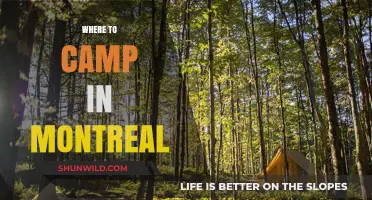 Discover Montreal's Best Kept Camping Secrets: A Local's Guide