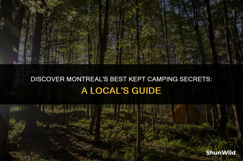 where to camp in montreal