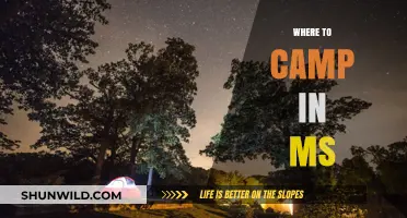 Discover Mississippi's Best Kept Camping Secrets: A Guide to Top Sites