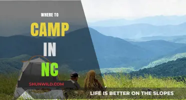 Discover North Carolina's Best Camping Spots: A Nature Lover's Guide