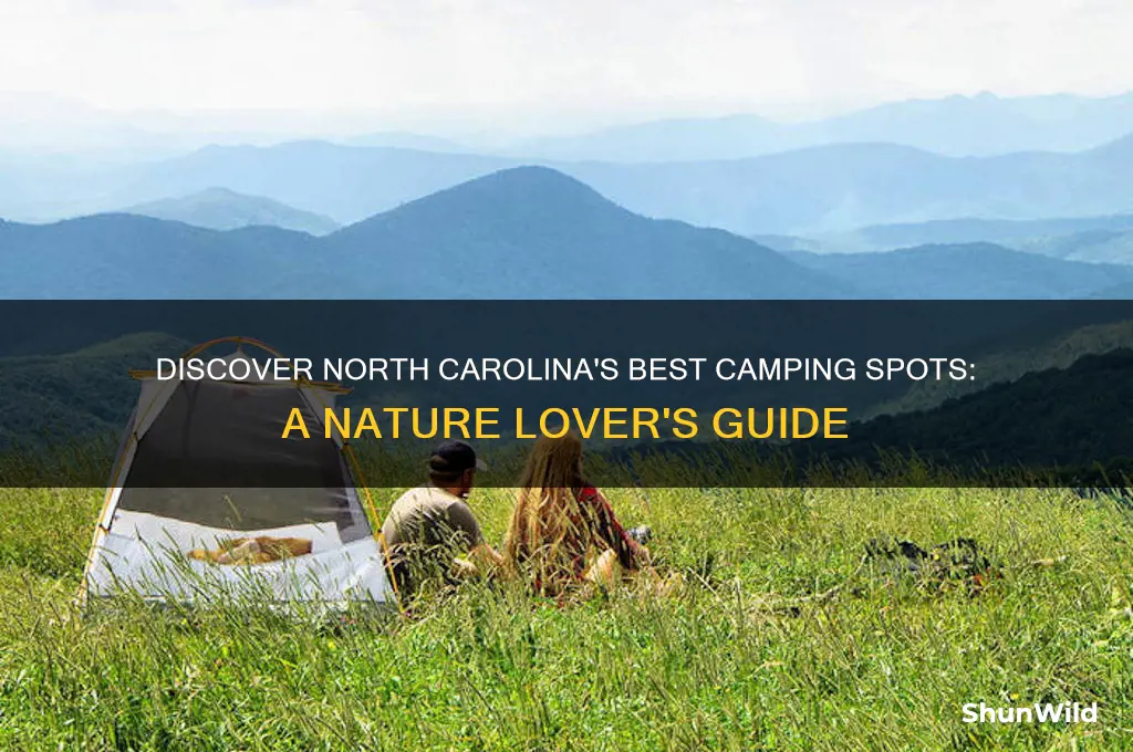 where to camp in nc