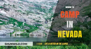 Discover Nevada's Best Kept Camping Secrets: A Guide to Unforgettable Sites