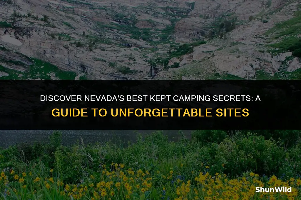 where to camp in nevada