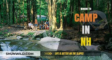 Discover the Best Campsites in New Hampshire: A Guide to NH's Top Camping Spots