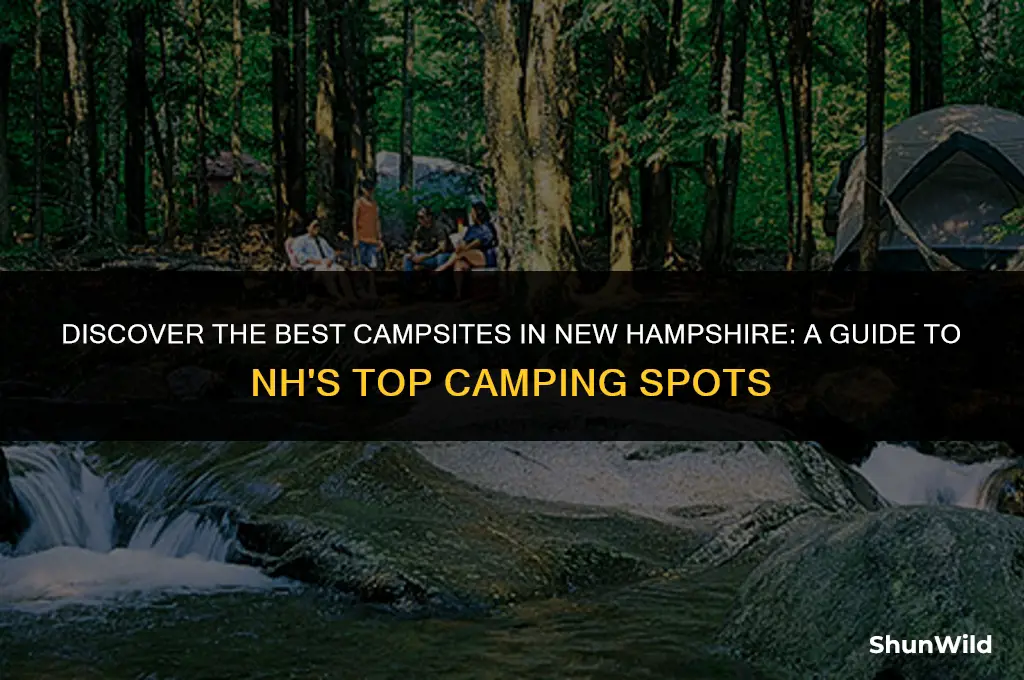 where to camp in nh