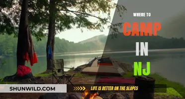 Discover the Best Campsites in New Jersey: A Guide to Outdoor Bliss