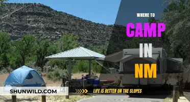 Discover the Best Campsites in New Mexico: A Guide to Outdoor Bliss