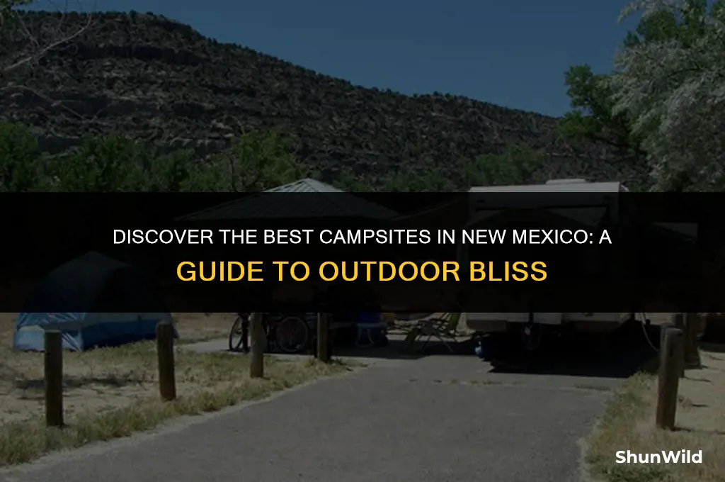 where to camp in nm