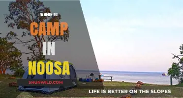 Discover Noosa's Best Kept Camping Secrets: A Guide to Top Spots