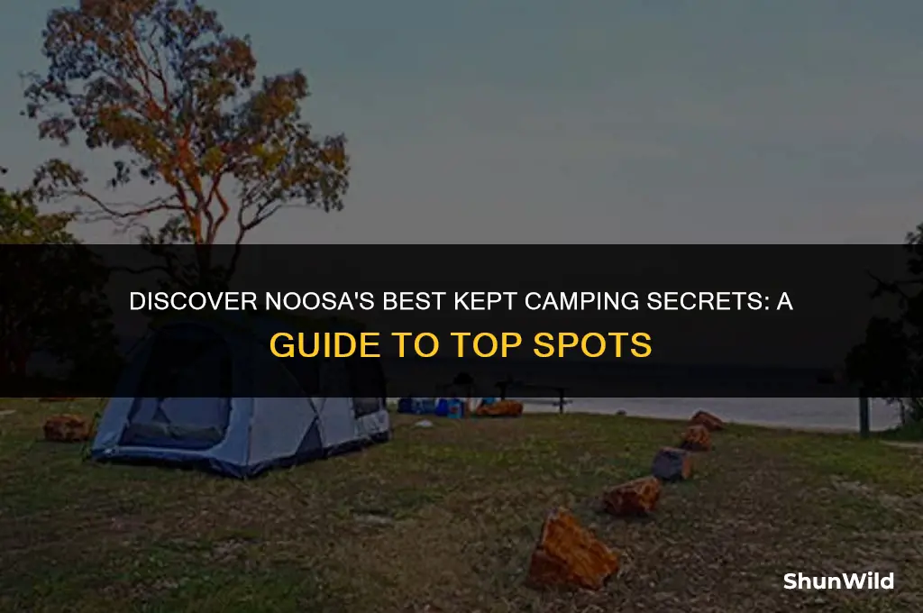 where to camp in noosa