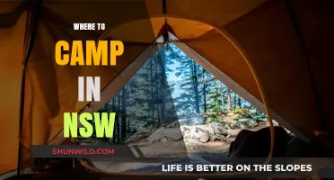 Exploring NSW: Top Camping Spots for Your Next Adventure