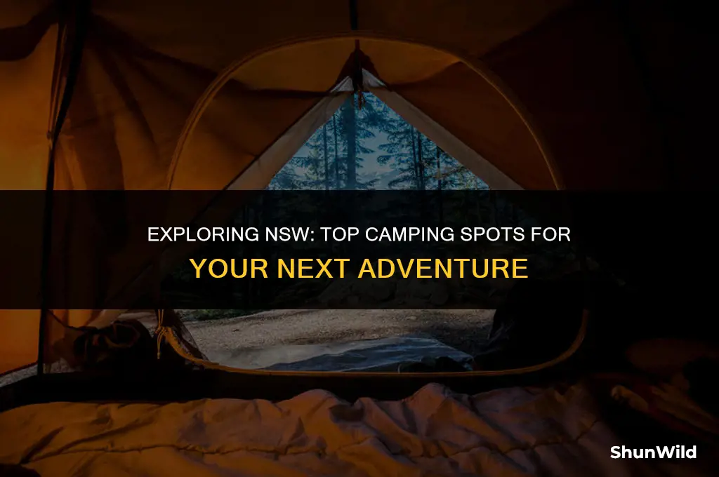 where to camp in nsw