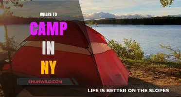 Discover the Best Campsites in New York: A Guide to Outdoor Bliss