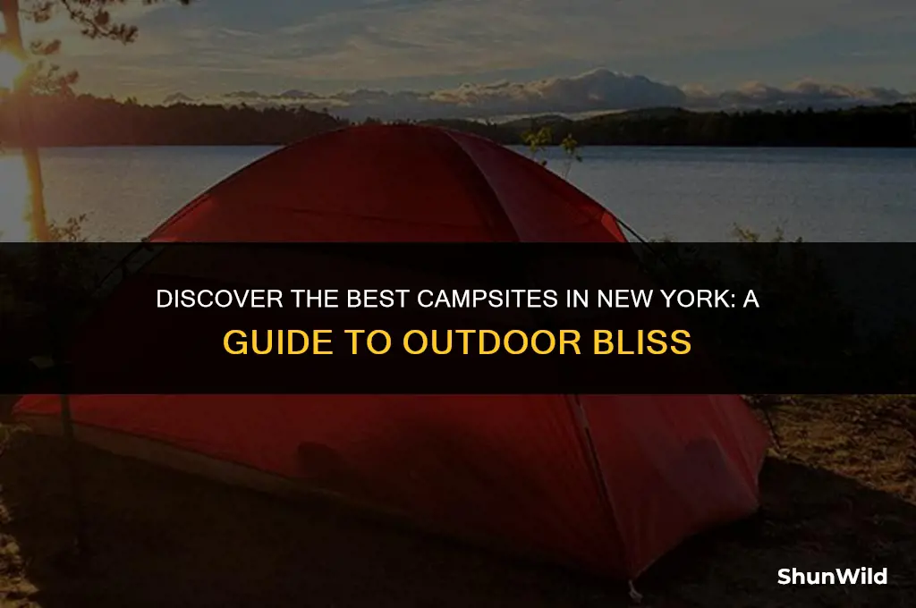 where to camp in ny