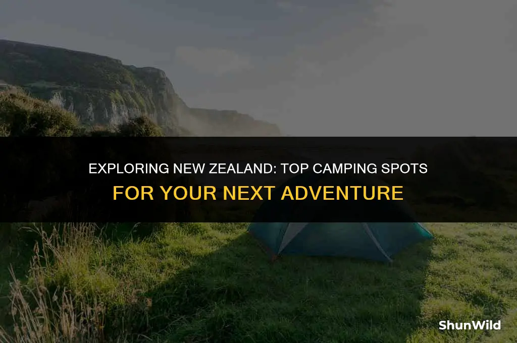where to camp in nz