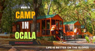 Discover Ocala's Best Campsites: A Guide to Outdoor Adventures