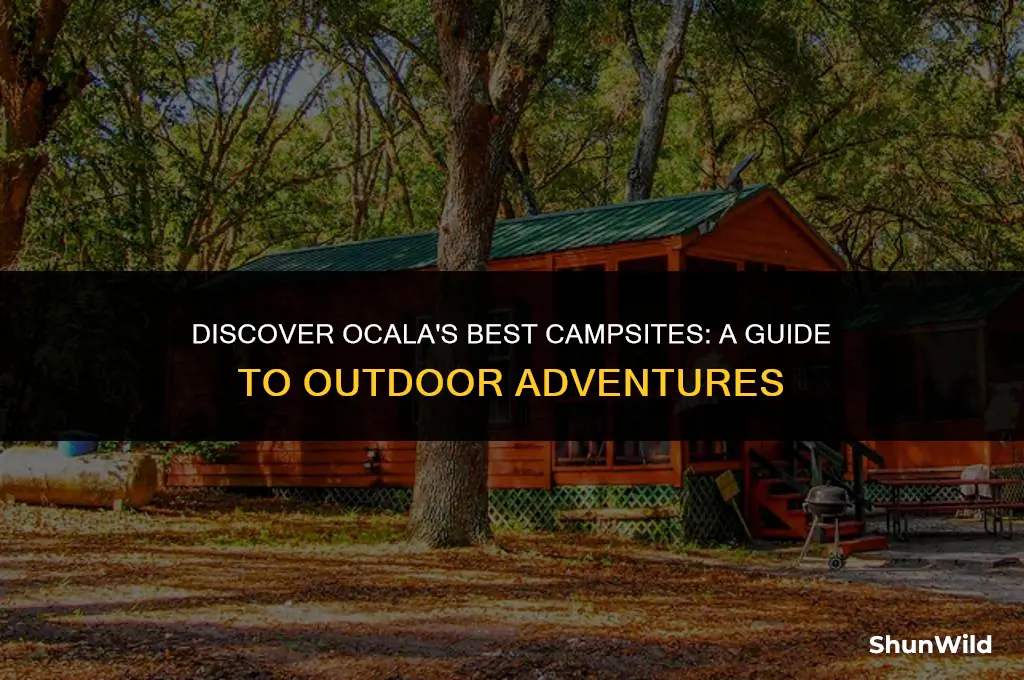 where to camp in ocala