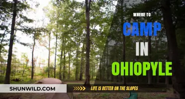 Discover the Best Campsites in Ohiopyle: Your Ultimate Guide