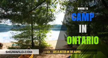 Discover Ontario's Best Kept Camping Secrets: A Guide to Unforgettable Sites