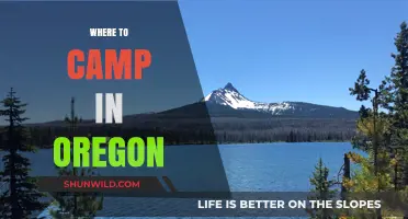 Oregon's Best Campsites: Top Spots for Nature Lovers to Explore