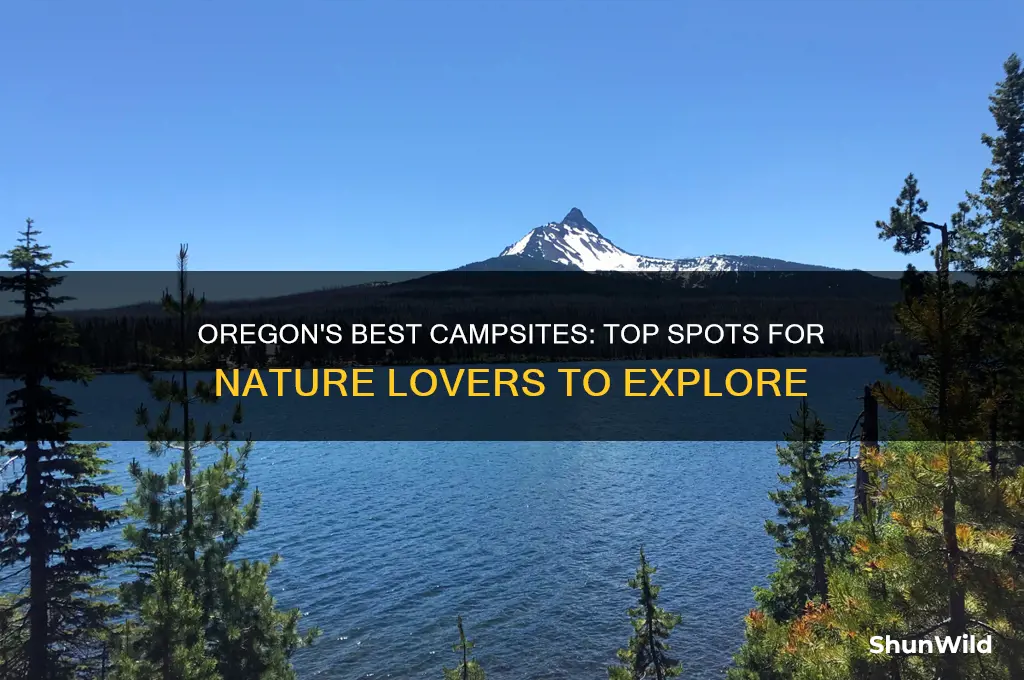 where to camp in oregon