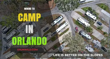 Discover the Best Campsites Near Orlando: A Guide for Outdoor Enthusiasts