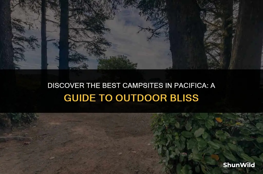 where to camp in pacifica