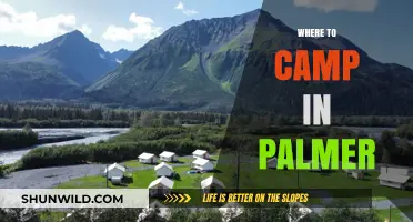 Discover the Best Camping Spots in Palmer: A Comprehensive Guide