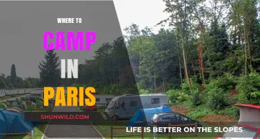 Discover the Best Camping Spots in Paris: A Local's Guide