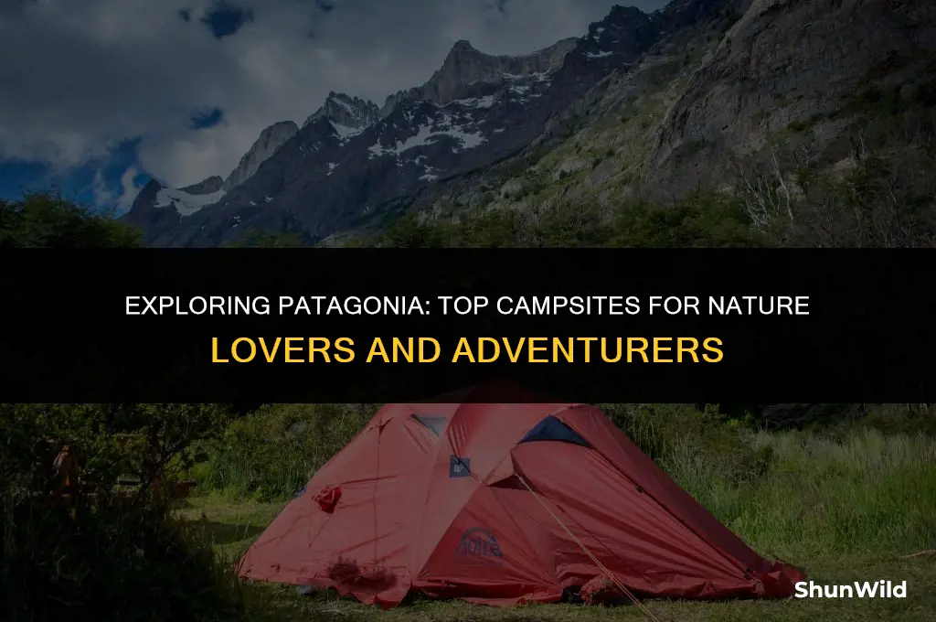 where to camp in patagonia