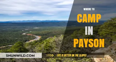 Discover the Best Campsites in Payson: A Guide to Outdoor Bliss