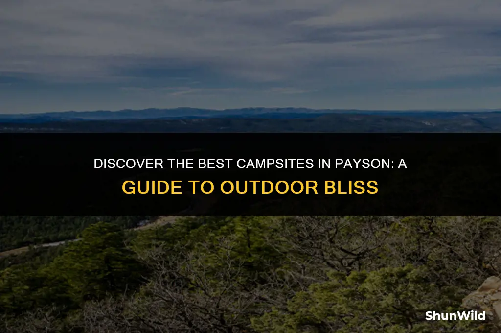 where to camp in payson