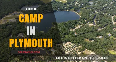 Discover Plymouth's Best Kept Camping Secrets: A Local's Guide