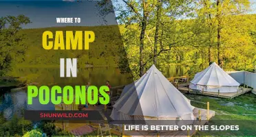 Discover the Best Campsites in the Poconos: Your Ultimate Guide