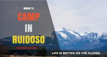 Discover the Best Campsites in Ruidoso: A Guide to Outdoor Bliss