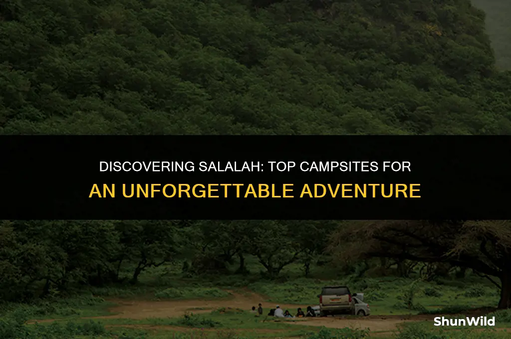 where to camp in salalah