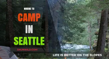 Discover Seattle's Best Kept Camping Secrets: A Local's Guide
