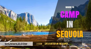 Exploring Sequoia: Top Campsites for an Unforgettable Adventure